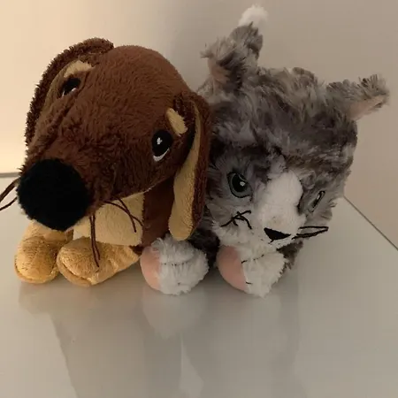 Appartamento Elsa Verona